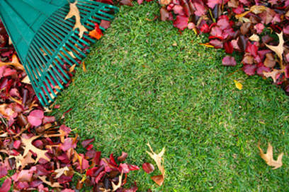 Neighborhood Lawn Care in Vancouver, WA.  Raking leaves in lawn
