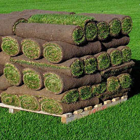 Neighborhood Lawn care in Vancouver, WA. Pallet of sod ready for instal