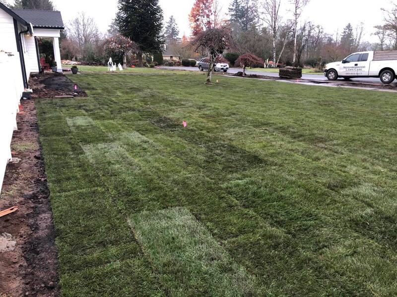 Neighborhood Lawn Care, Vancouver WA, Sod After