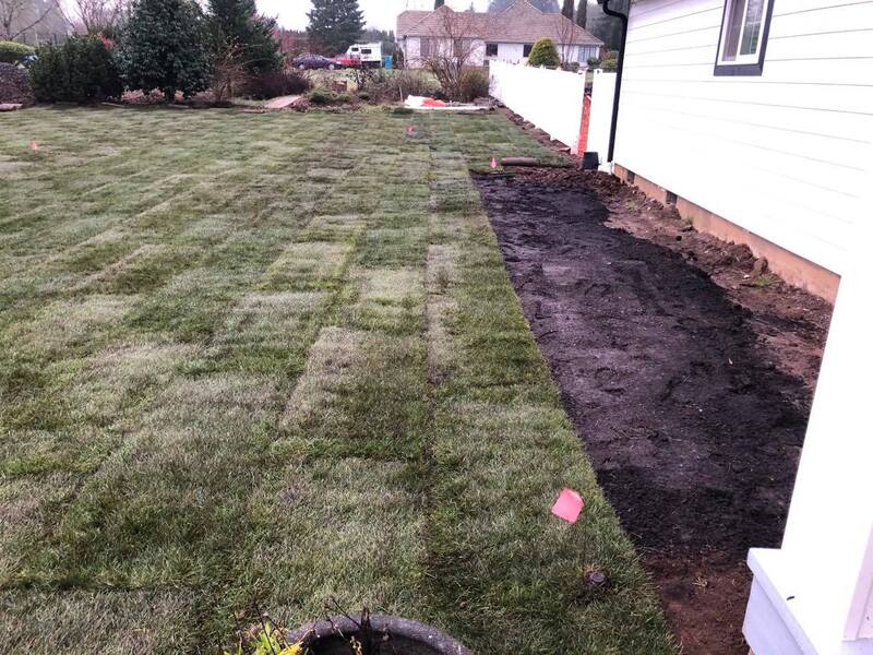 Neighborhood Lawn Care, Vancouver WA, Sod After